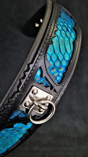 The ''Morelia Python'' collar 
