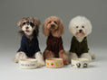 Load image into Gallery viewer, GLACIER PET SWEATER - OLIVE GREEN
