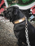 Load image into Gallery viewer, "Buffalo" collar
