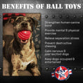 Load image into Gallery viewer, USA-K9 Stars and Stripes Ultra-Durable Rubber Chew Ball
