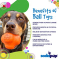 Load image into Gallery viewer, Crazy Bounce Ultra Durable Rubber Chew & Retrieving Toy
