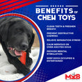 Load image into Gallery viewer, Headstone Ultra Durable Nylon Dog Chew Toy
