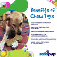 Load image into Gallery viewer, Bone eChew Ultra Durable Nylon Dog Chew Toy for Aggressive Chewers | USA Made
