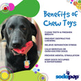 Load image into Gallery viewer, Cherry Pie Nylon Dog Chew Toy for Aggressive Chewers | USA Made | SodaPup
