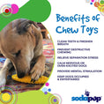 Load image into Gallery viewer, Corn on the Cob Nylon Dog Toy for Aggressive Chewers | USA Made | SodaPup
