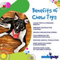 Load image into Gallery viewer, Diamond Ring Nylon Teething Ring for Puppies | Durable & USA Made
