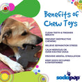 Load image into Gallery viewer, Gingerbread Man Nylon Dog Chew Toy for Aggressive Chewers | USA Made
