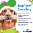 Load image into Gallery viewer, Honey Bone eChew Ultra Durable Nylon Dog Chew Toy
