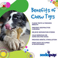 Load image into Gallery viewer, Knuckle Bone Nylon Dog Chew Toy for Aggressive Chewers | Made in USA
