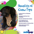 Load image into Gallery viewer, Peanut Nylon Dog Chew Toy | Ultra-Durable for Aggressive Chewers | SodaPup

