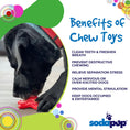 Load image into Gallery viewer, Starfish Nylon Dog Chew Toy for Aggressive Chewers | USA Made | SodaPup
