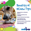 Load image into Gallery viewer, Turtle Nylon Chew Toy - Ultra-Durable Enrichment Toy for Power Chewers USA

