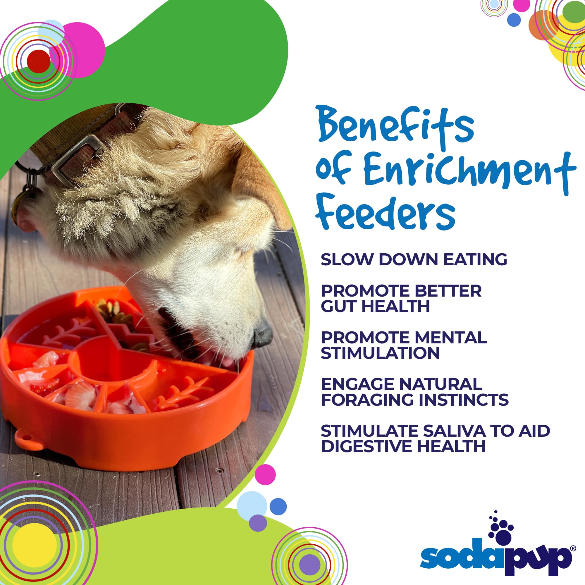 Southlake Paws Great Outdoors eBowl in orange, designed as a slow feeder for dogs, promoting health and mental stimulation.