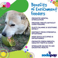 Load image into Gallery viewer, Southlake Paws Garden of Eatin' Tipsy Bowl - Wobble Lick Mat for Dogs & Cats, featuring a dog enjoying the product.
