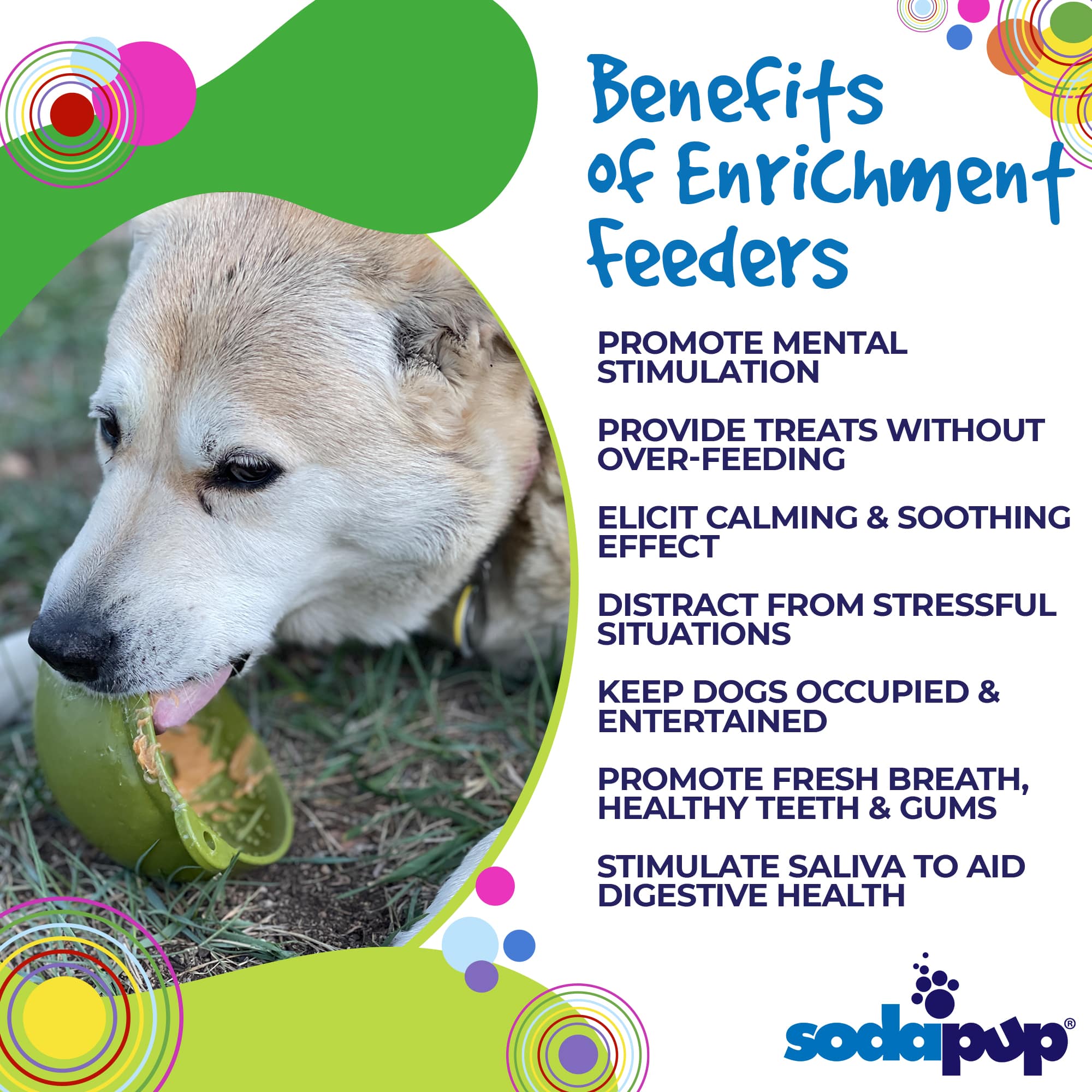 Southlake Paws Garden of Eatin' Tipsy Bowl - Wobble Lick Mat for Dogs & Cats, featuring a dog enjoying the product.