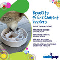 Load image into Gallery viewer, Java eBowl Deep Slow Feeder Dog Bowl for Enrichment | USA Made
