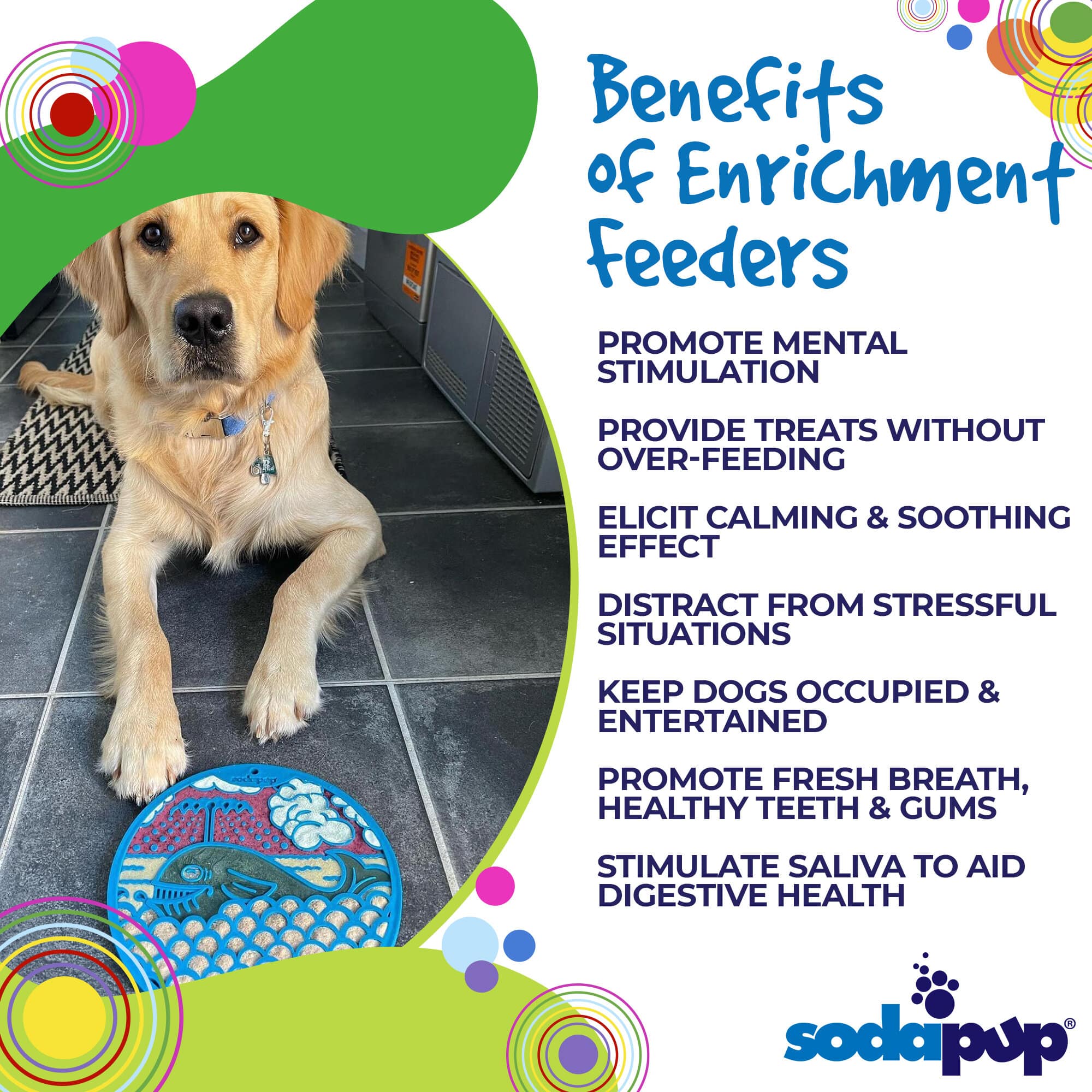Whale eMat - Enrichment Lick Mat for Dogs and Cats - with Suction Cups | Whale Design | USA Made