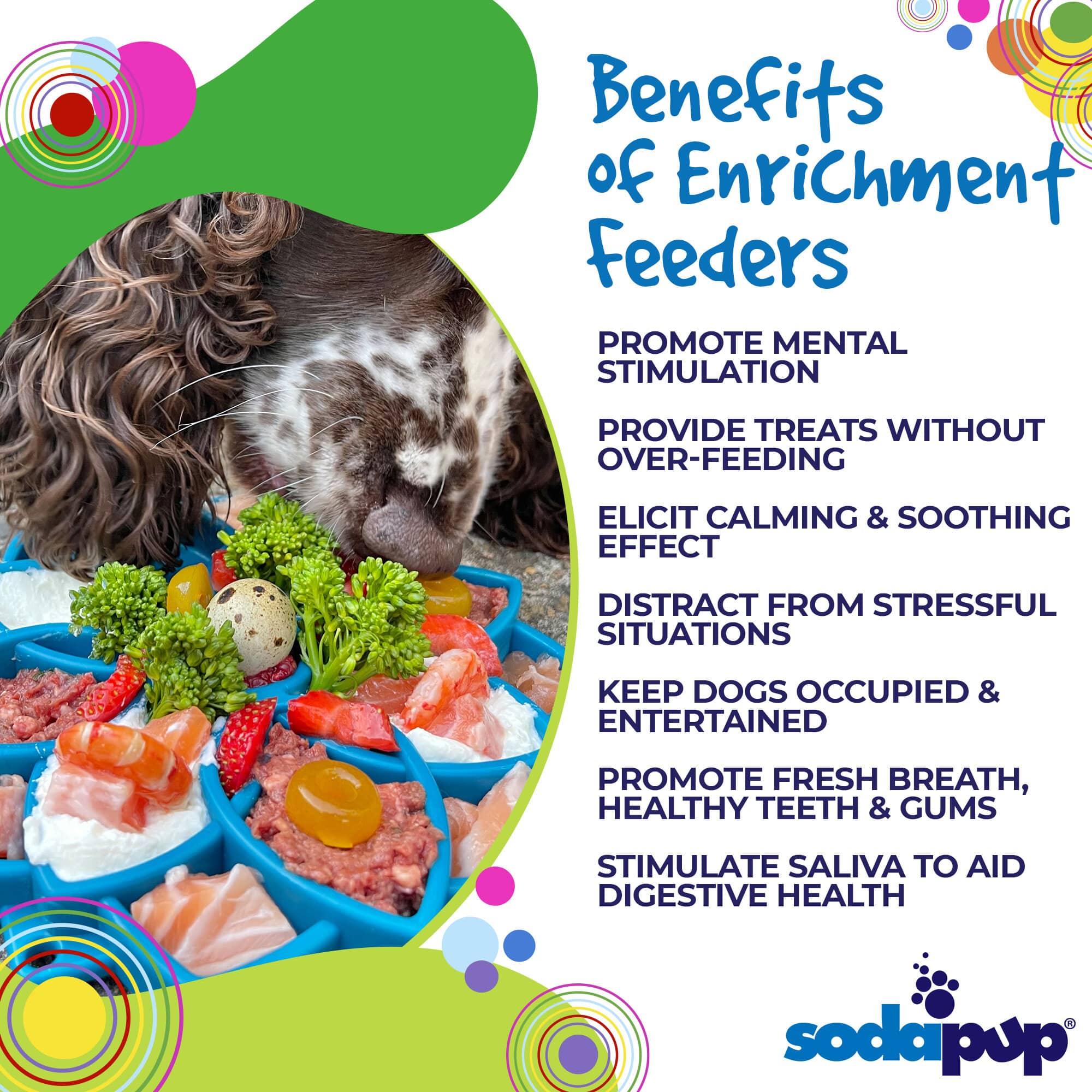Mandala eTray Shallow Slow Feeder Dog Bowl by Southlake Paws, designed for mental enrichment and slow feeding.