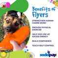 Load image into Gallery viewer, Bottle Top Flyer Durable Rubber Retrieving Frisbee - Orange
