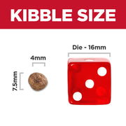 Hill's Science Diet Adult Small & Mini Lamb Meal & Brown Rice Recipe Dry Dog Food Bag (4.5lb) 