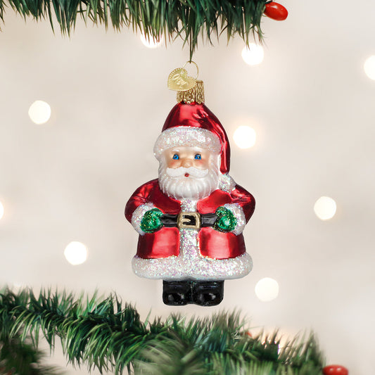 Short Stuff Santa Ornament - Southlake Paws
