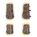 Load image into Gallery viewer, ExionPro Leather Horse Tendon Show Jump Boots - 404
