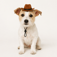 Load image into Gallery viewer, Cowboy Hat
