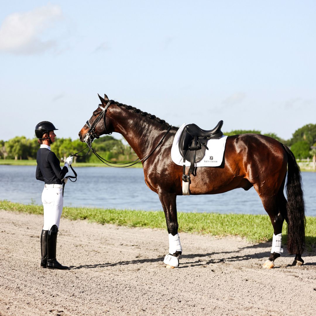 Southlake Paws B&W White Saddle Pad Set displayed on a horse by a rider near a body of water, showcasing equestrian gear.