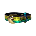 XS/S 7”-14”  Yellow/Green/Red Custom Snake Collar/Custom Gold Italian Hardware