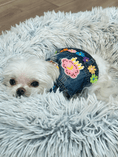 Load image into Gallery viewer, Season of Love Vest
