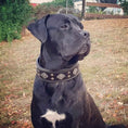 Load image into Gallery viewer, "Aztec" black dog collar
