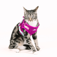Load image into Gallery viewer, Joana Cat Harness & Leash Set
