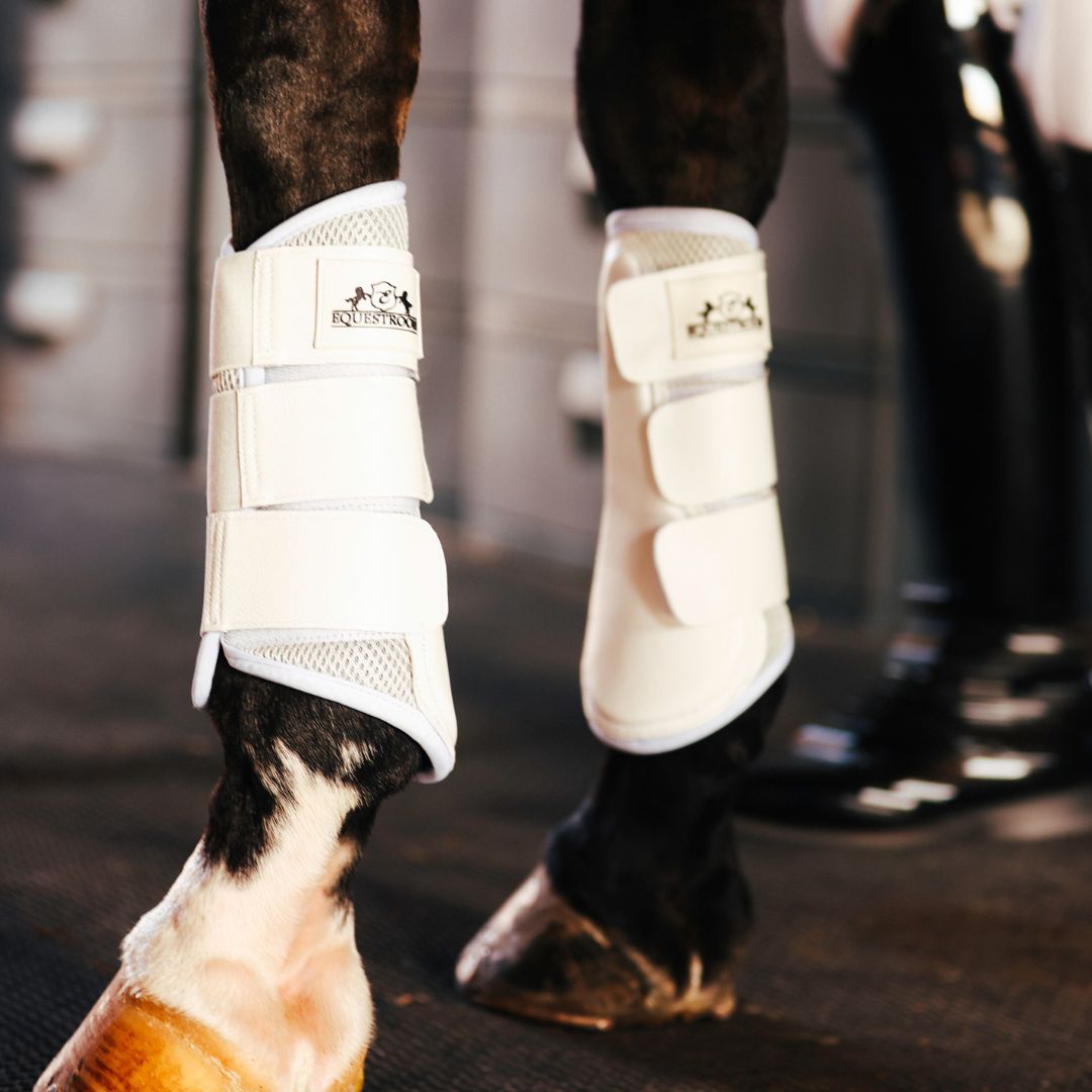 White saddle pad set from Southlake Paws, featuring protective wraps on a horse's legs in a stable setting.