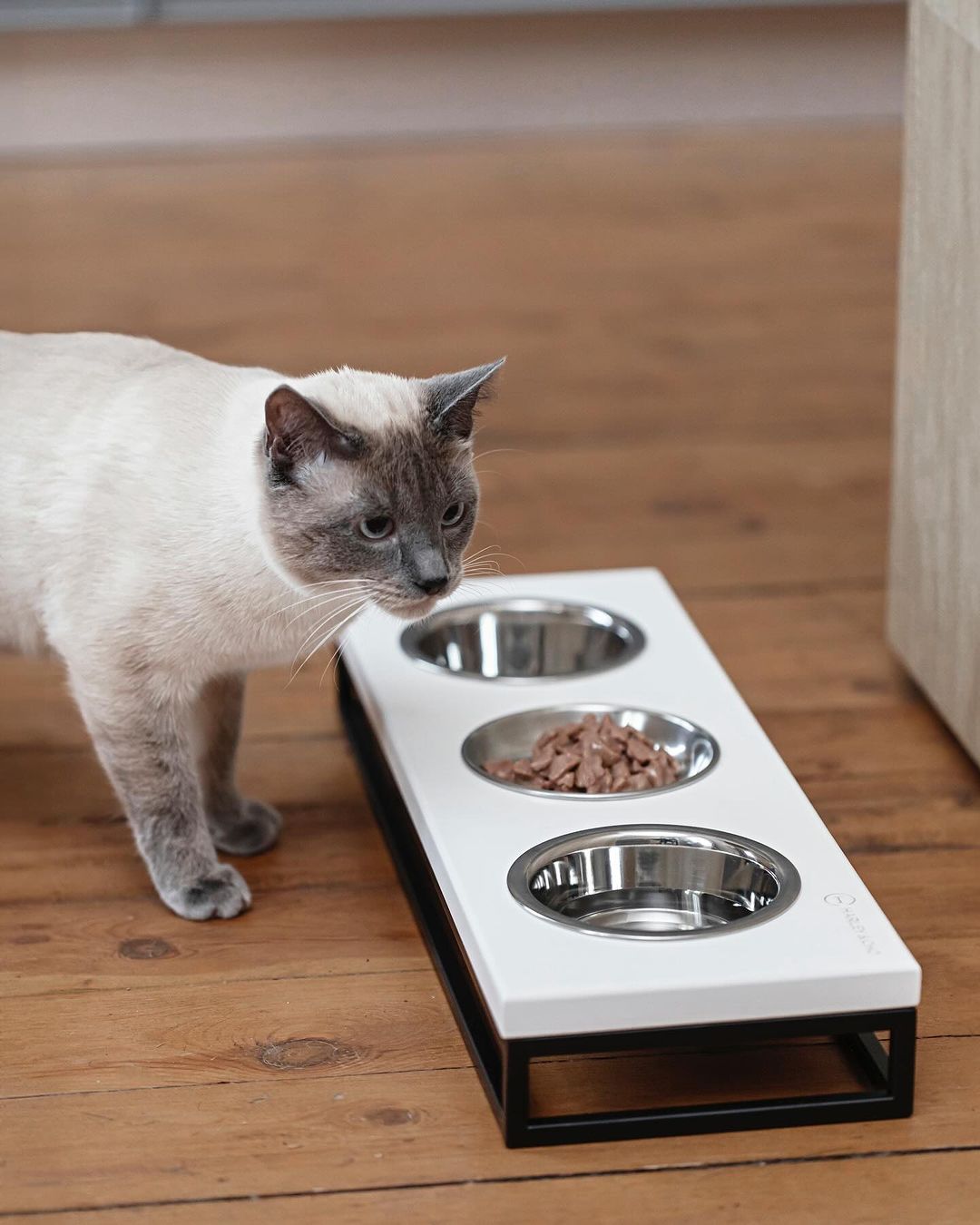 Three Bowls Lunch Bar for Cats - Southlake Paws