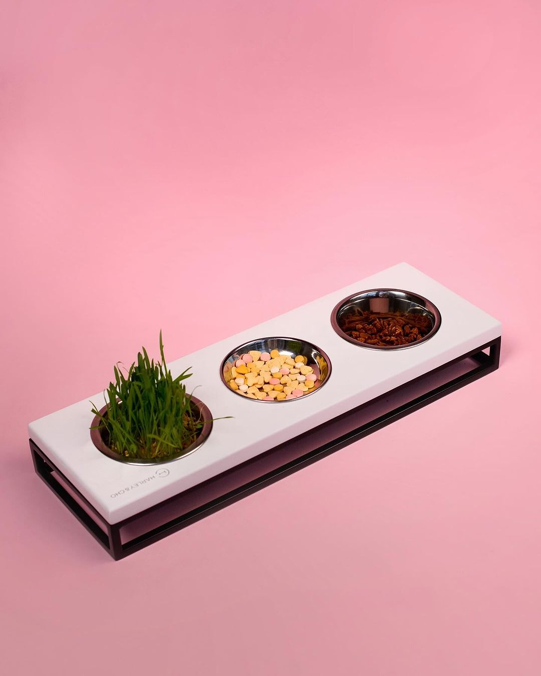 Three Bowls Lunch Bar for Cats - Southlake Paws