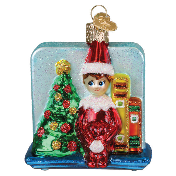Scout Elf Storytime Ornament - Southlake Paws