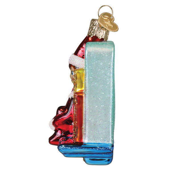 Scout Elf Storytime Ornament - Southlake Paws