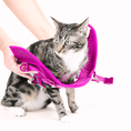 Load image into Gallery viewer, Joana Cat Harness & Leash Set
