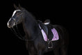 Load image into Gallery viewer, Lavender Saddle Pad by Southlake Paws on a black horse, featuring a quilted design and elegant lavender color.
