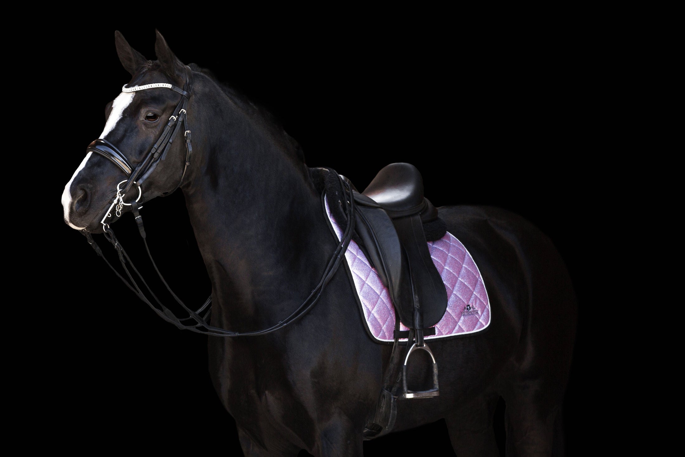 Lavender Saddle Pad by Southlake Paws on a black horse, featuring a quilted design and elegant lavender color.