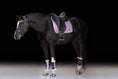 Load image into Gallery viewer, Lavender Saddle Pad Set
