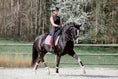 Load image into Gallery viewer, Lavender Saddle Pad Set
