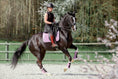 Load image into Gallery viewer, Lavender Saddle Pad Set
