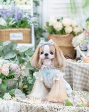 Luxury design dog dress vintage lace 