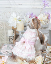 Luxury design dog dress vintage lace 