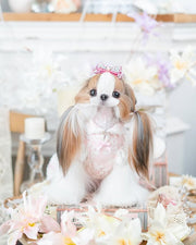 Luxury design dog dress vintage lace 