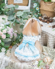 Luxury design dog dress vintage lace 