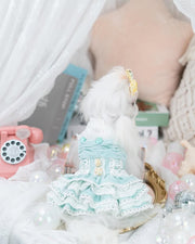 Luxury design dog dress velvet rose 2 colors 