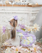 Luxury design dog dress pearls chain accessories 2 colors 