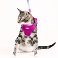 Load image into Gallery viewer, Joana Cat Harness & Leash Set
